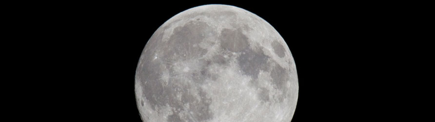 There are nights when the wolves are silent and only the moon howls About Immortal Wolf - a full moon