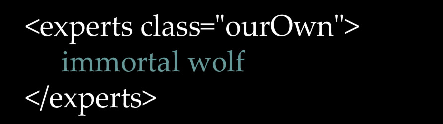 Our previous projects speak for themselves Immortal Wolf - our clients, portfolio, and previous projects