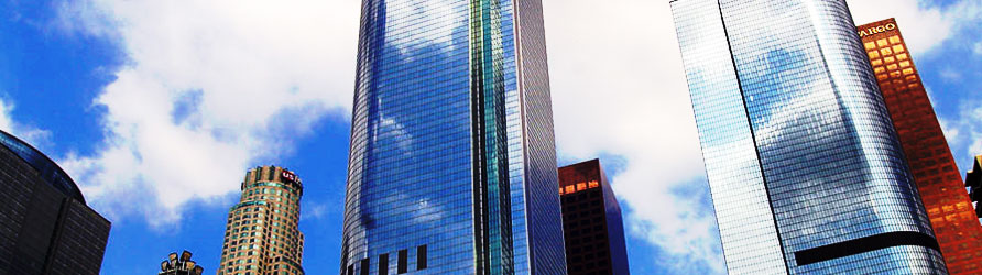 We Design, Develop, Deploy, and Maintain - Local to Los Angeles! Immortal Wolf - web developer, interactive development and web design